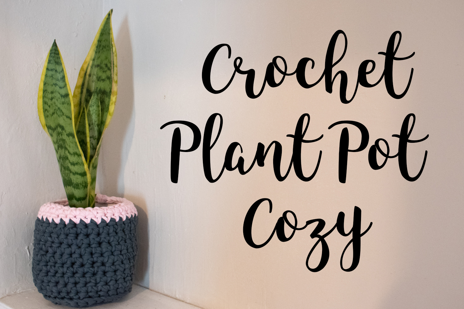 Crochet a plant pot cover!