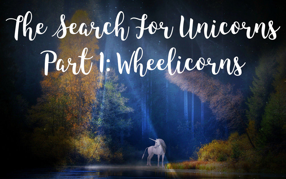 The Search for Unicorns